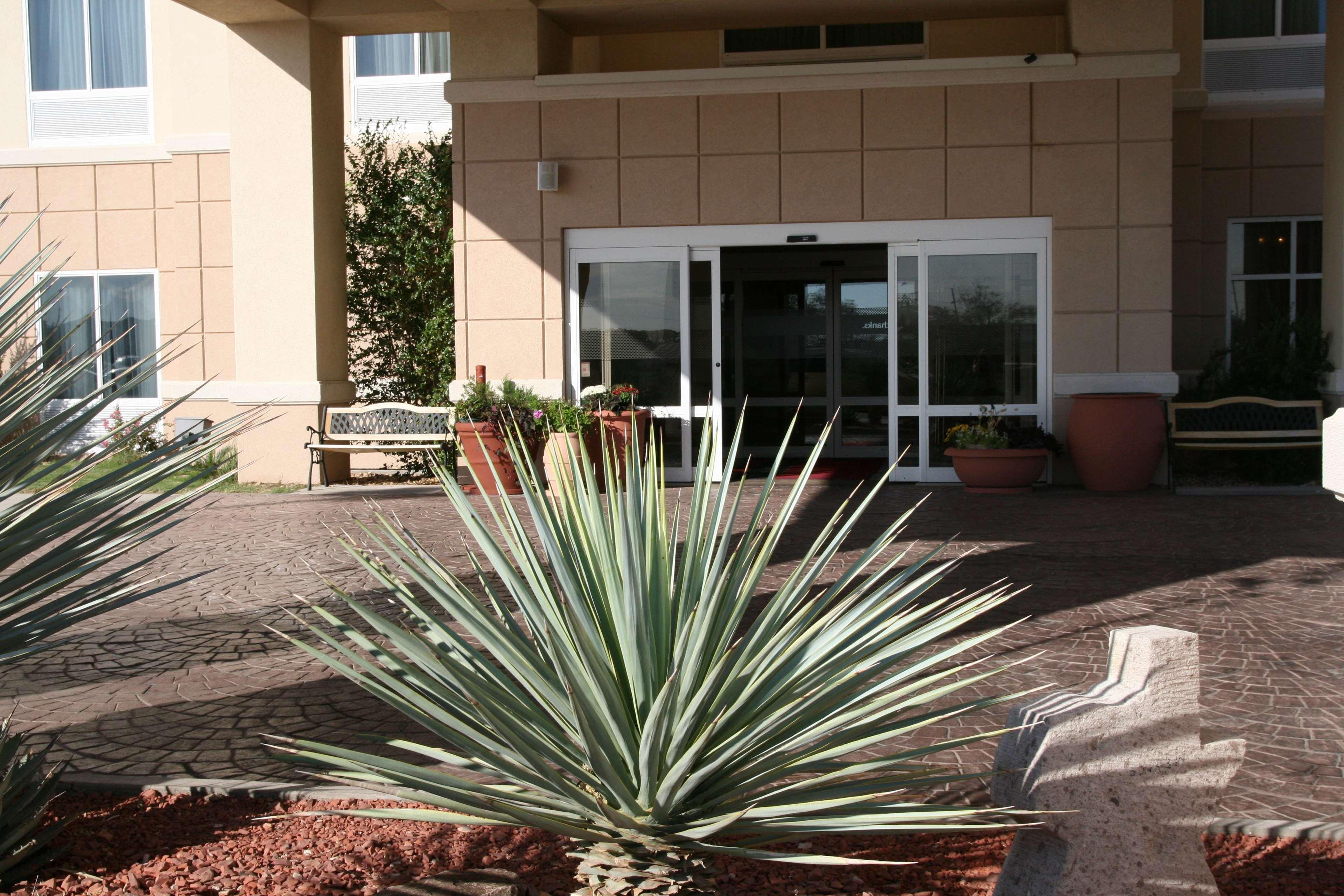 Hampton Inn Alpine Extérieur photo